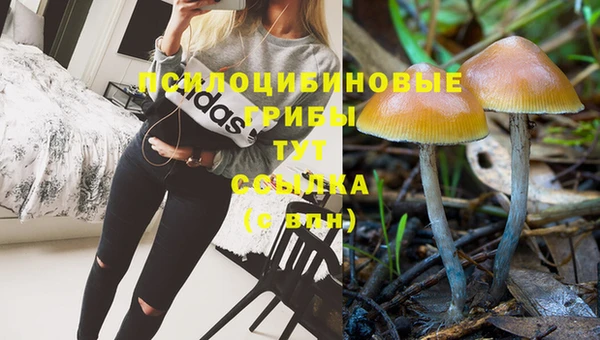 2c-b Алексеевка
