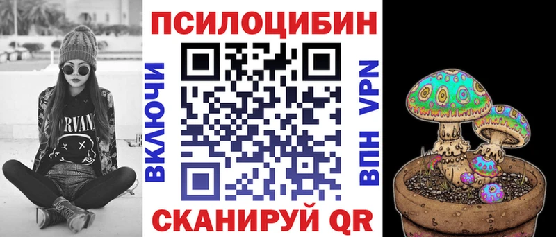 закладка  Приморск  Галлюциногенные грибы прущие грибы 